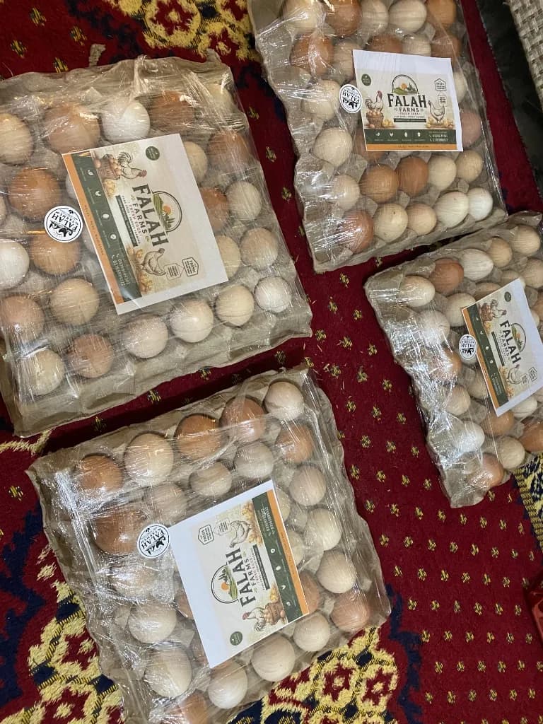 Farm Fresh Desi Egg Trays Dispatch