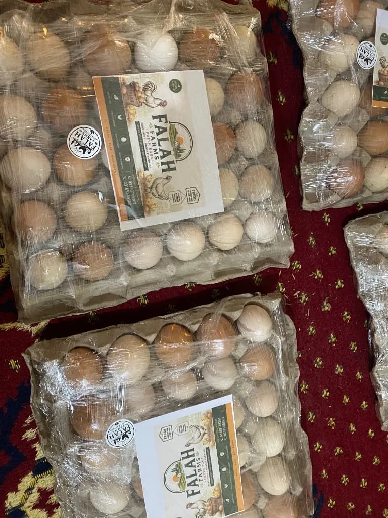 Sealed 30-Egg Trays Daily Harvest