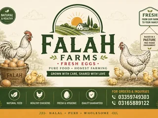 Fresh Desi Organic Eggs with Deep Orange Yolks - Falah Farms Islamabad